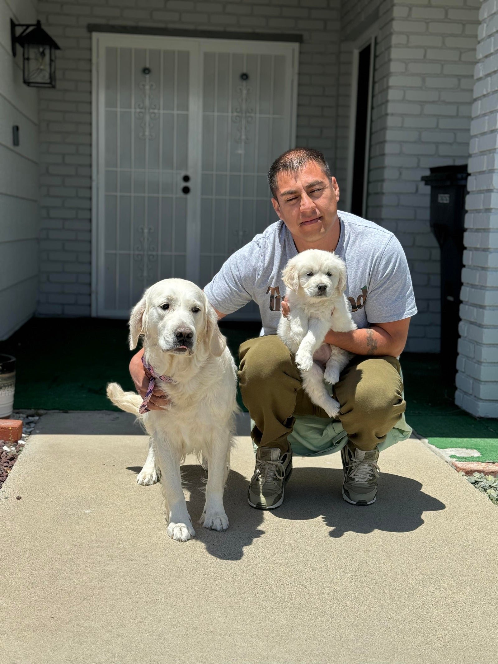 AAA Therapy Dogs Store
