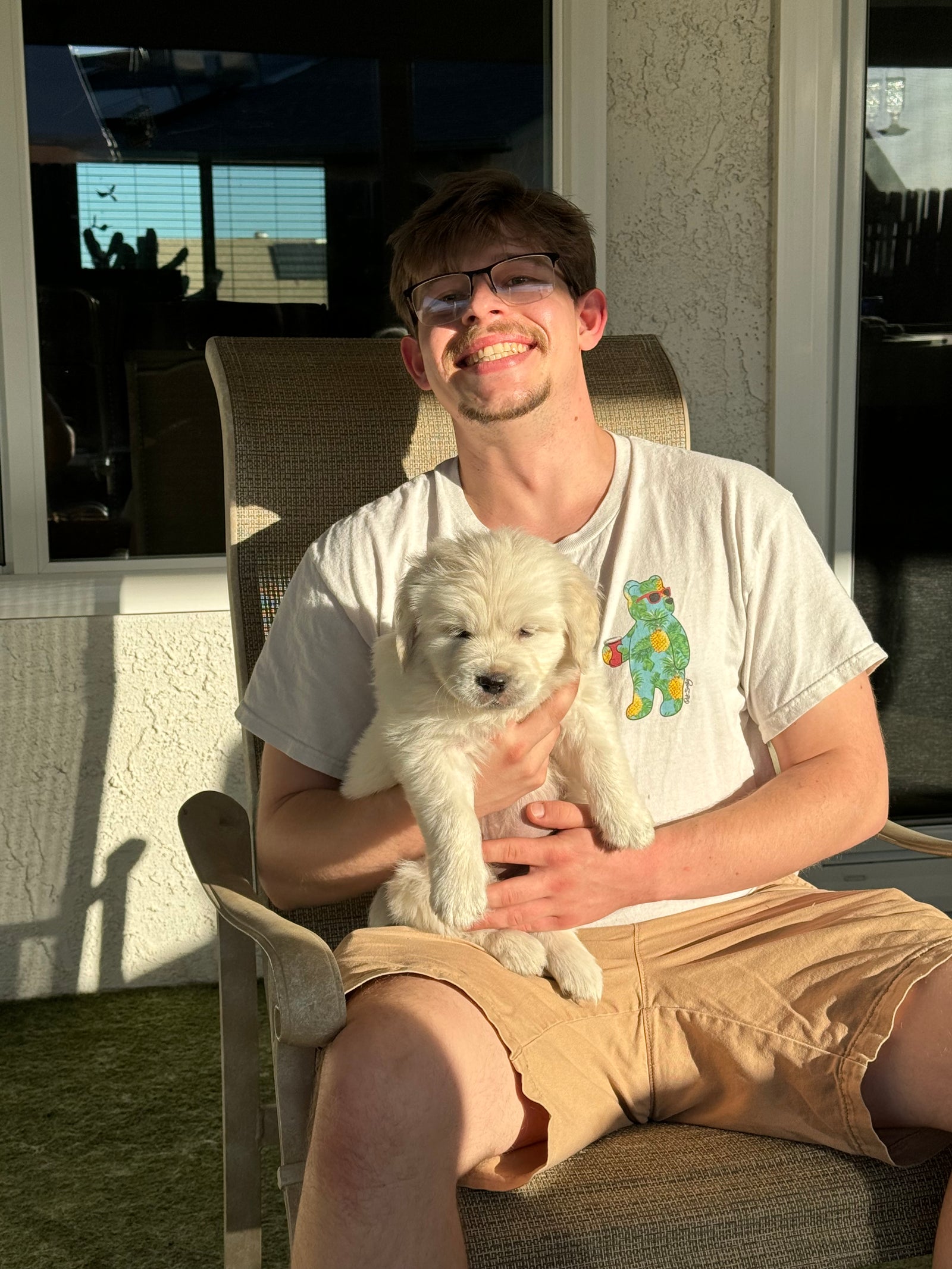 AAA Therapy Dogs Store
