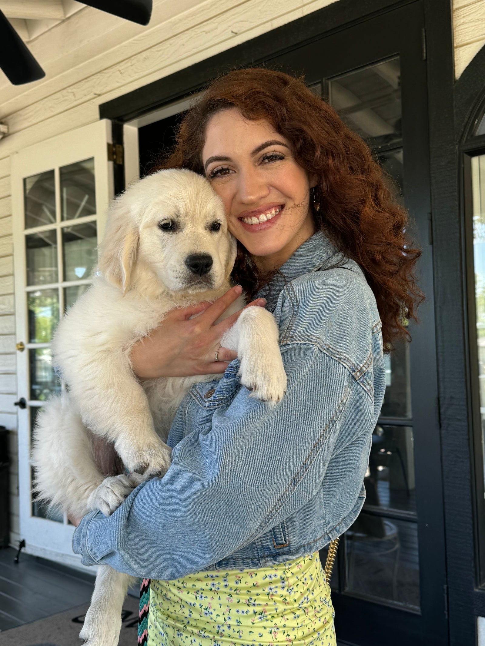 AAA Therapy Dogs Store
