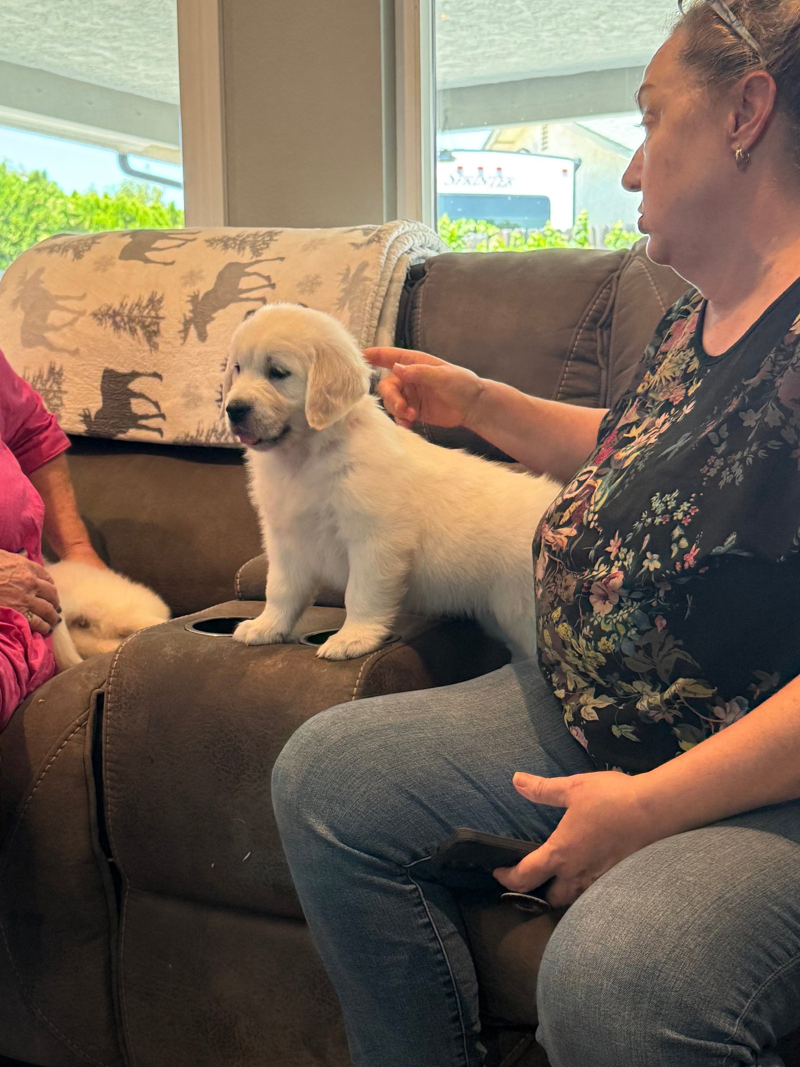 AAA Therapy Dogs Store
