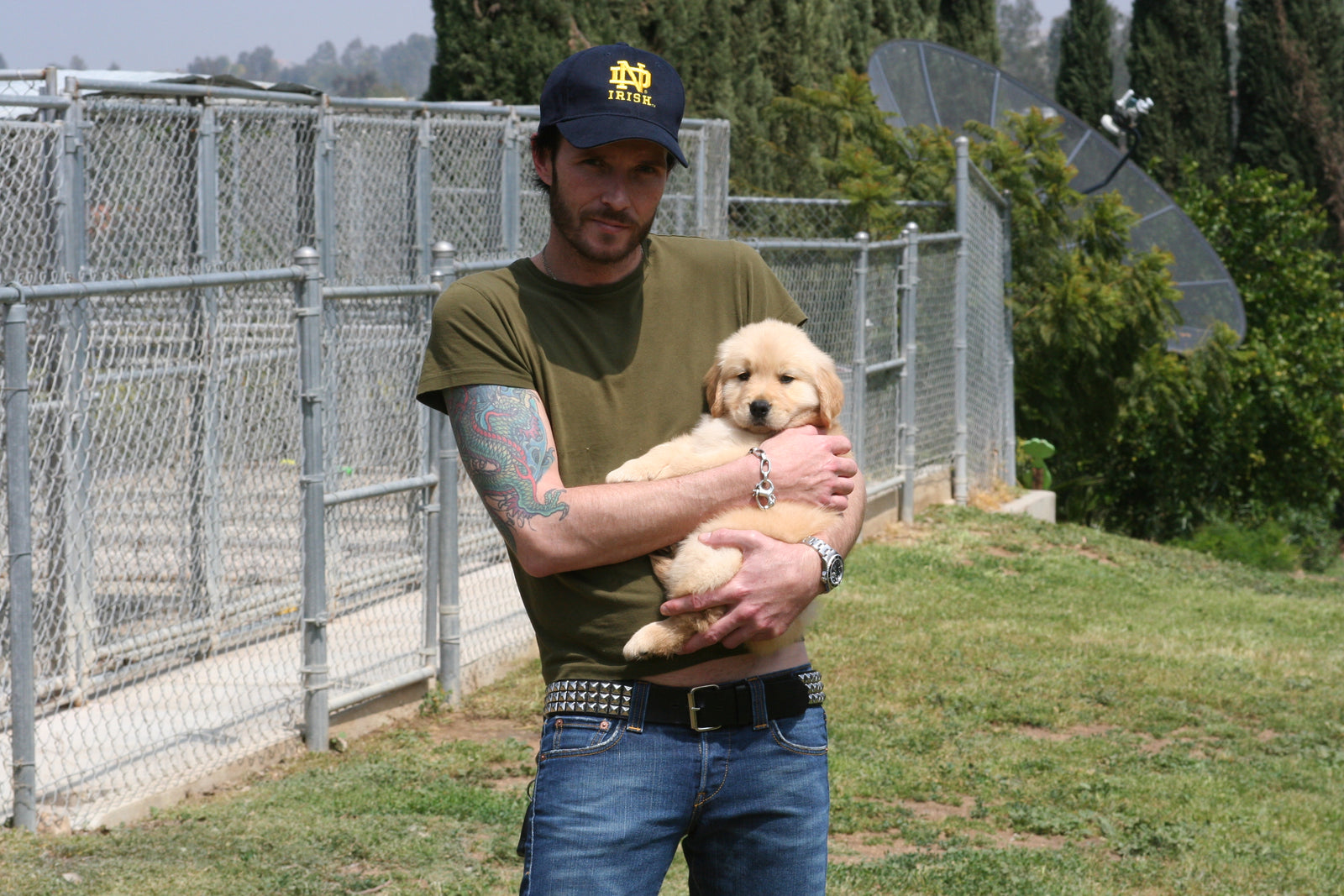 AAA Therapy Dogs Store
